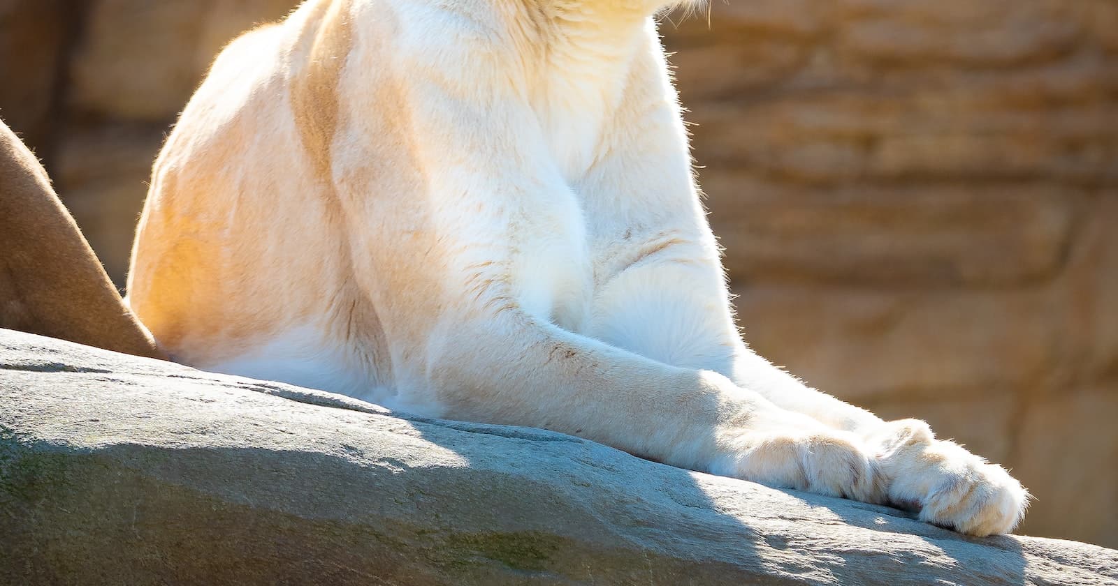 《如何阅读一本书》读书笔记-2016年版