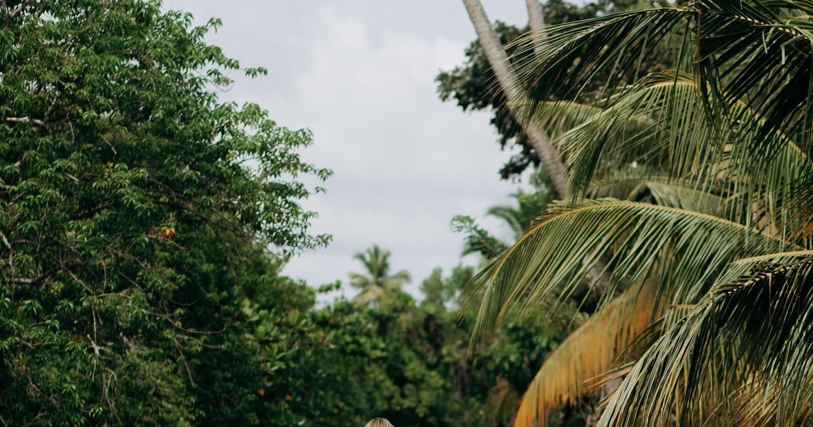 Create MongoDB Standalone and Replica Set containers using Docker